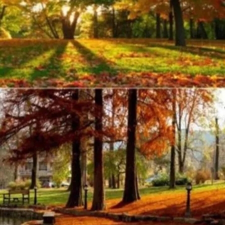 Lejlighed Apolon Lux *